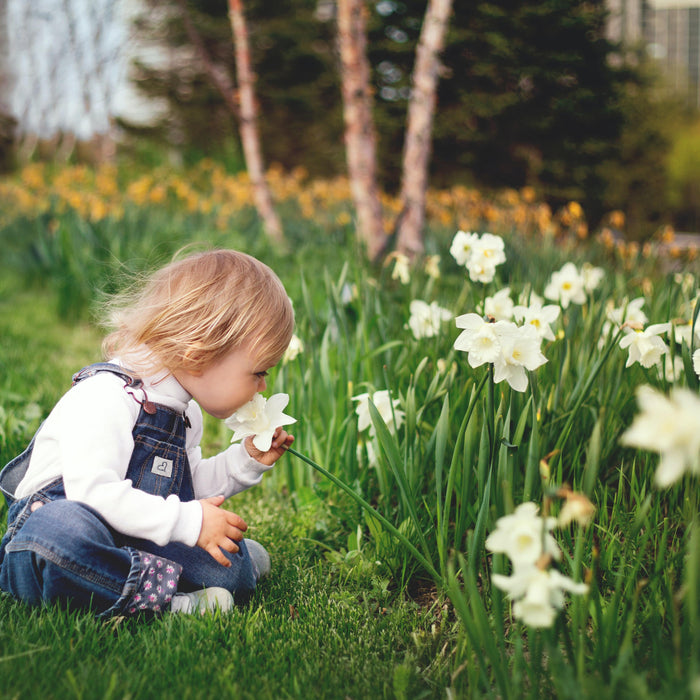 How to Create a Sensory Garden for Kids