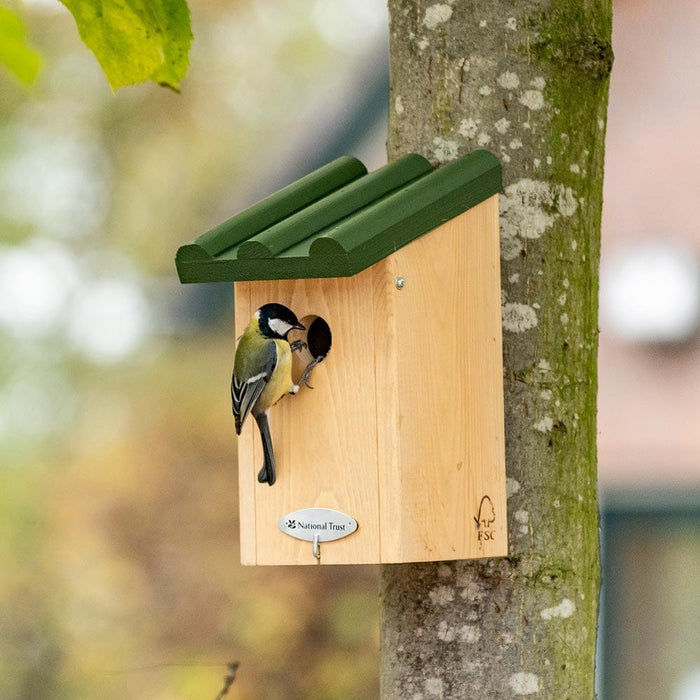 Children's National Trust Bird Nesting Box Gift Set