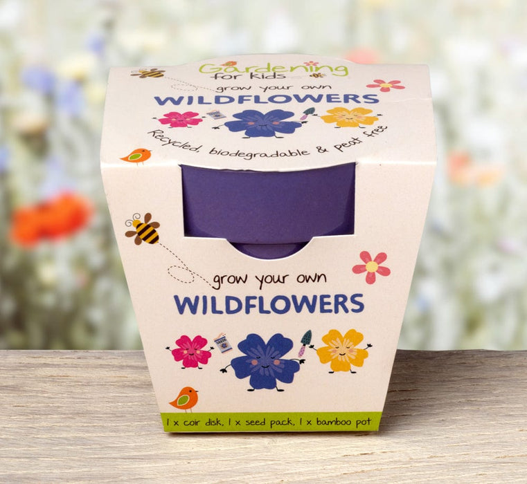 Wildflower Growing Kit with Pot