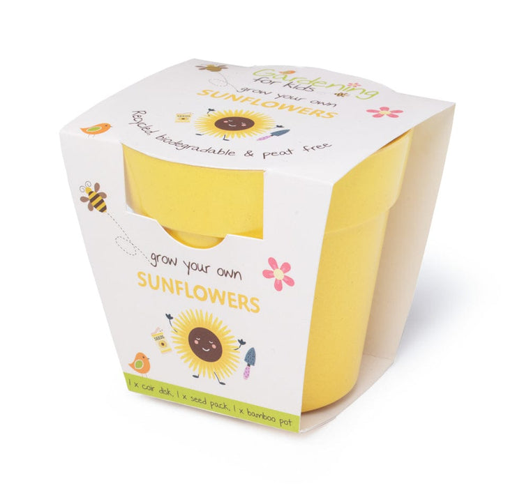 Sunflower Growing Kit with Pot