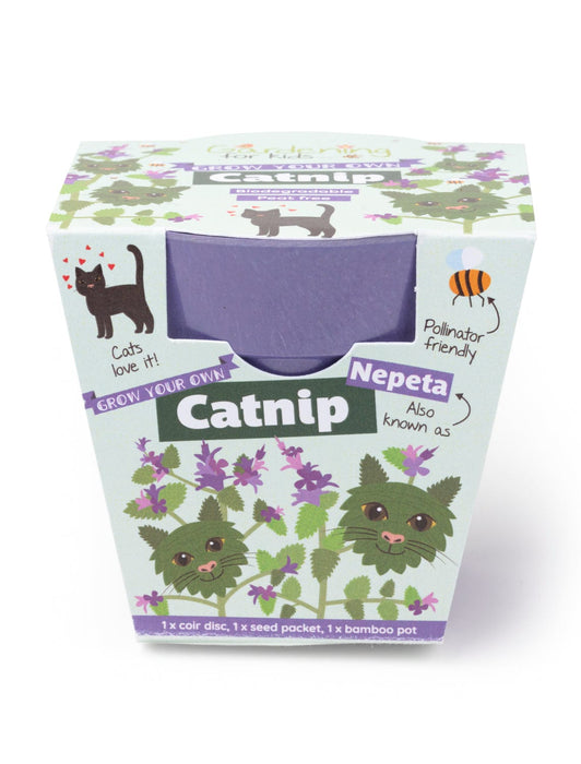 Grow Your Own Catnip Plants Children's Growing Kit with Pot