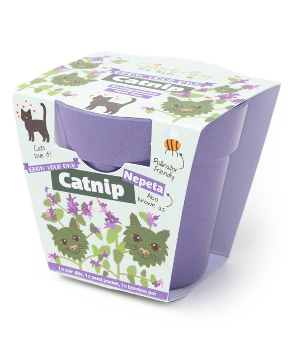 Grow Your Own Catnip Plants Children's Growing Kit with Pot