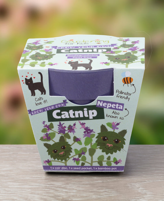 Grow Your Own Catnip Plants Children's Growing Kit with Pot