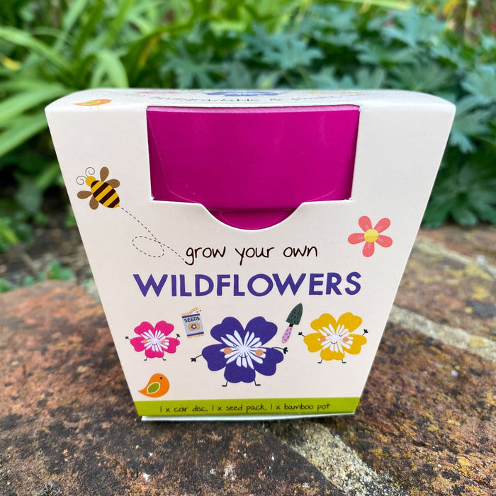 Wildflower Growing Kit with Pot