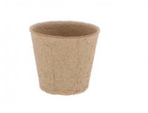 Biodegradable and Compostable Cardboard Plant Pots 6cm