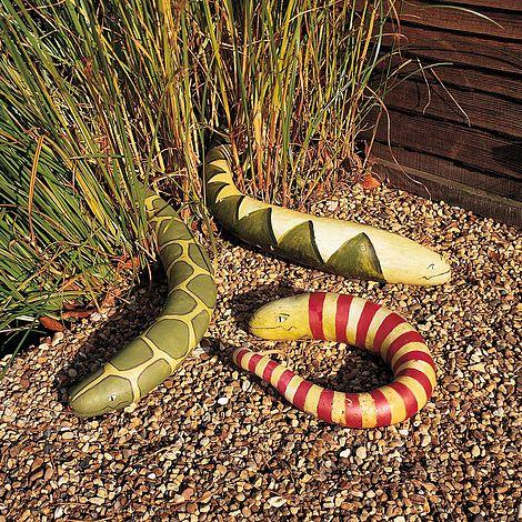 Thompson and Morgan Snake Gourd