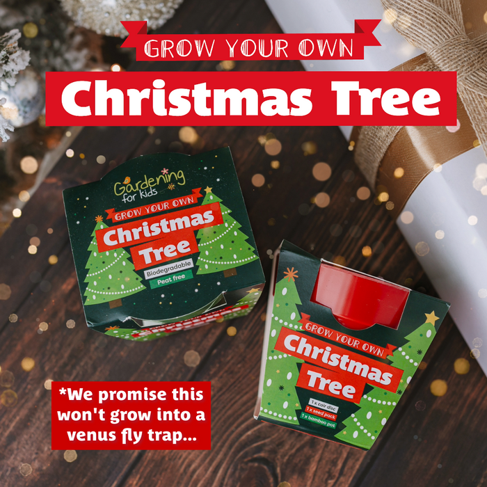 Christmas Trees vs Venus Fly Traps!