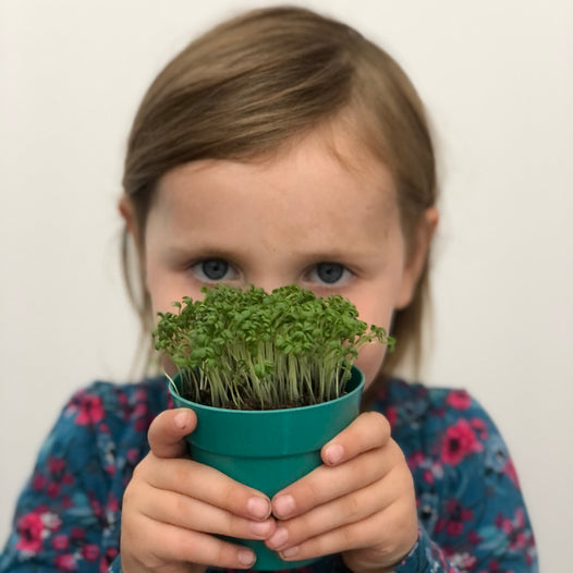 Gardening for Kids' Guide to Growing from Seed