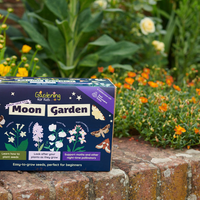 Introducing Moon Garden: A Night-time Pollinator Kit for Children