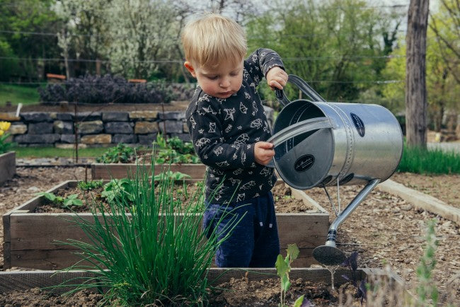6 Helpful Tips for Kids to Excel in Gardening