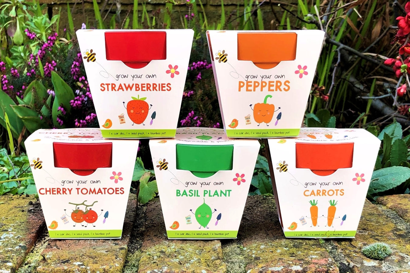 Fruit & Vegetable Seeds and Growing Kits