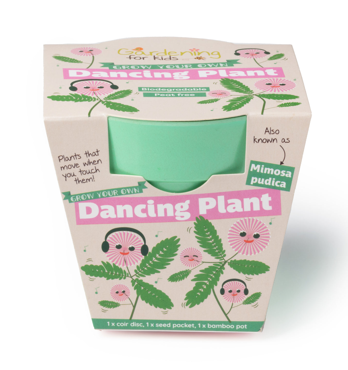 What to plant at any time of year