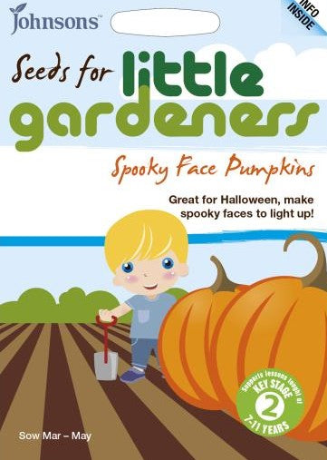 What to plant in May or June