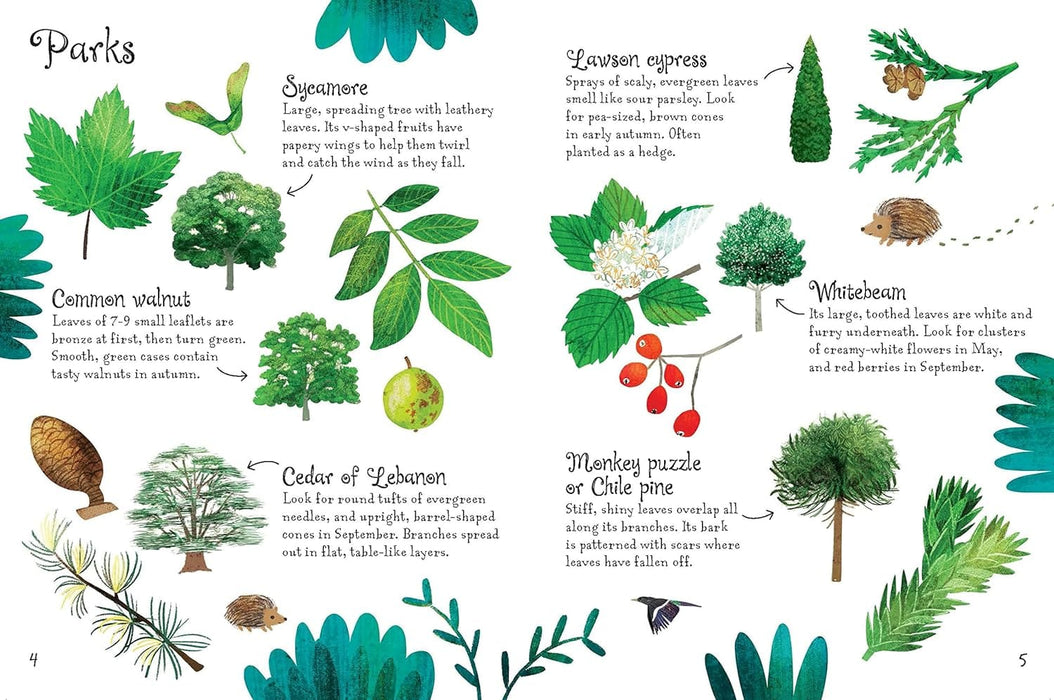 Trees to Spot - Usborne Mini Book