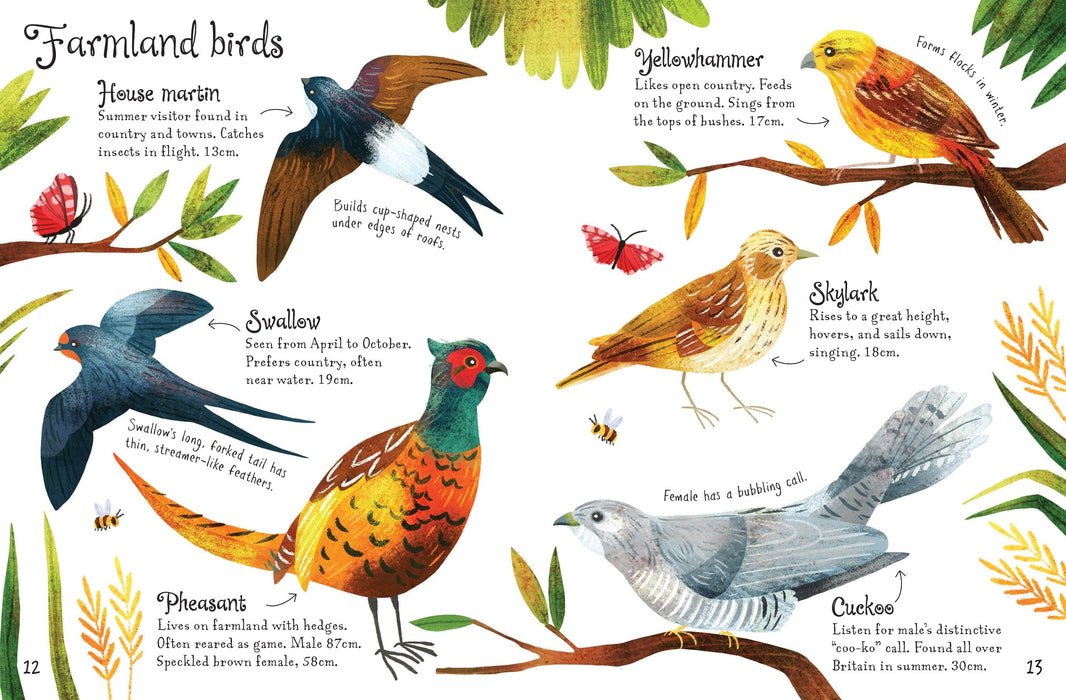 Birds to Spot - Usborne Minis Spotter Guides