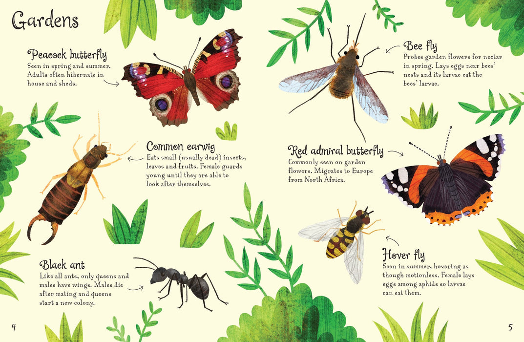 Usborne Minis - Bugs to Spot