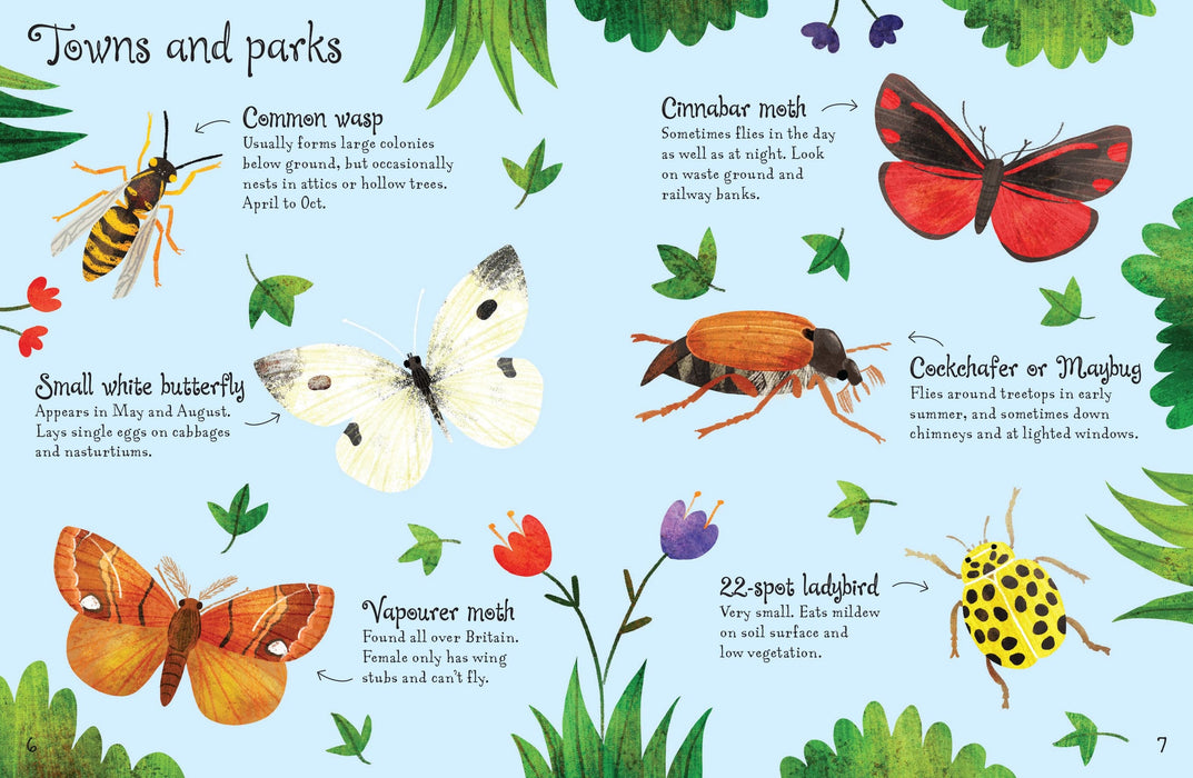 Usborne Minis - Bugs to Spot