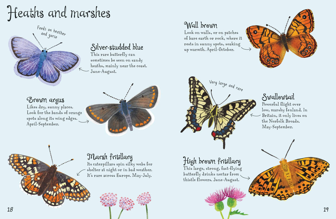 Butterflies to Spot - Usborne Mini Spotter Guide Book