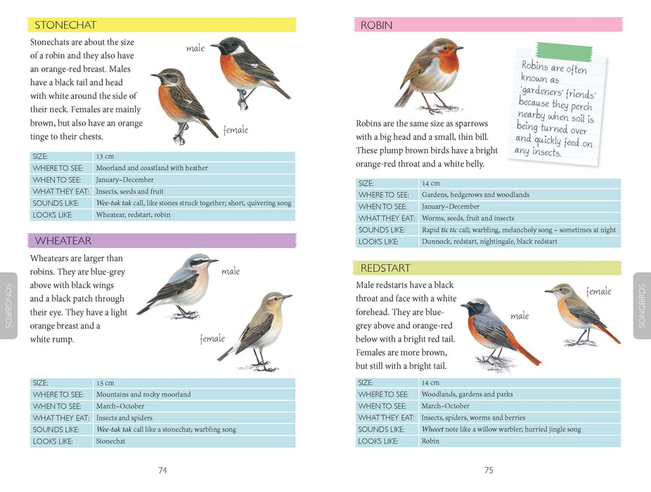 Out and About Bird Spotter Children's Nature Book