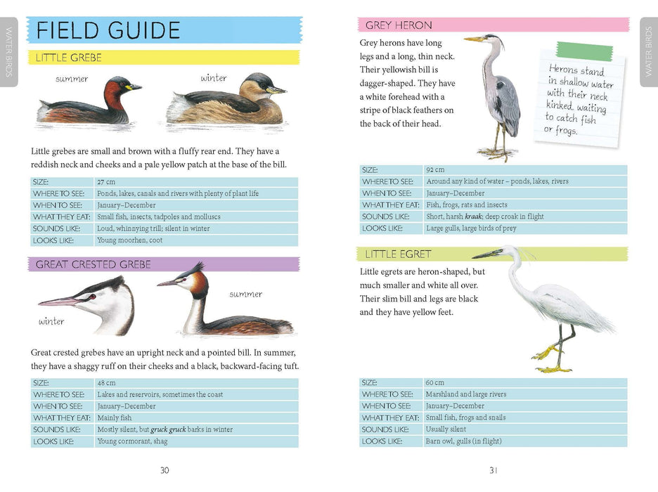 Out and About Bird Spotter Children's Nature Book