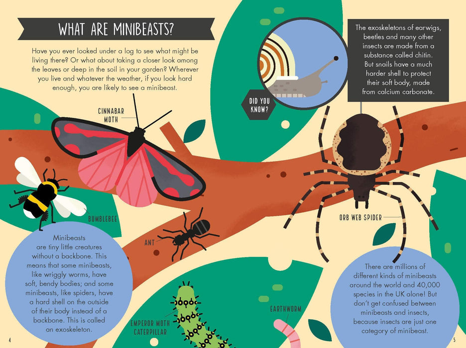 Out and About Minibeast Explorer - children's nature book