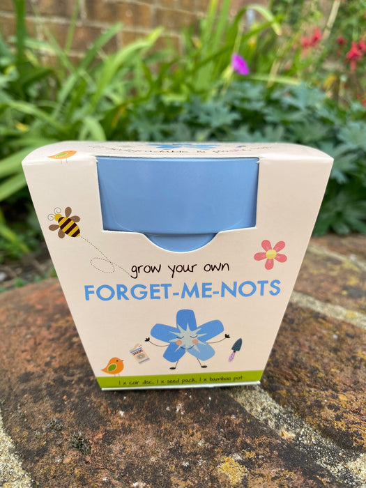 Children's Forget-me-nots Growing Kit with pot