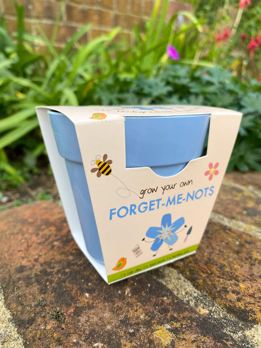 Children's Forget-me-nots Growing Kit with pot