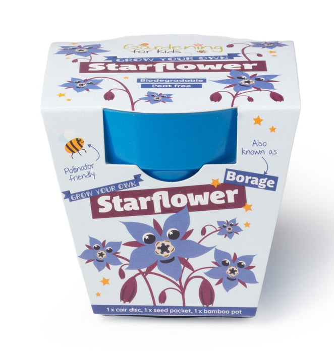Starflower Borage Growing Kit with Pot