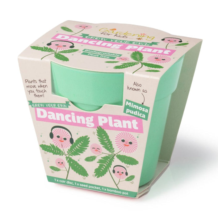 Dancing Plant Growing Kit with Pot