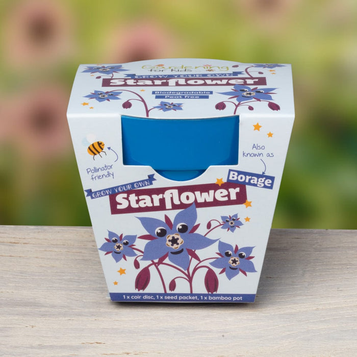 Starflower Borage Growing Kit with Pot