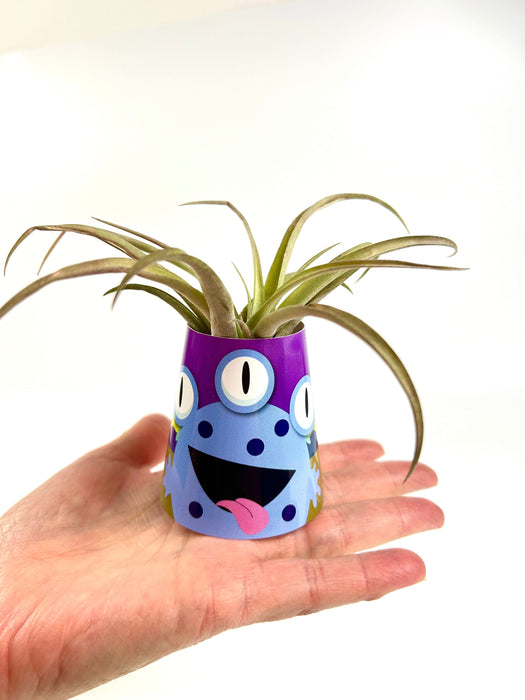 Air Plant Monsters