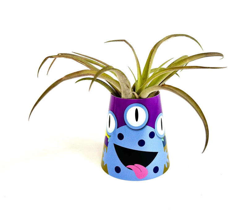 Air Plant Monsters