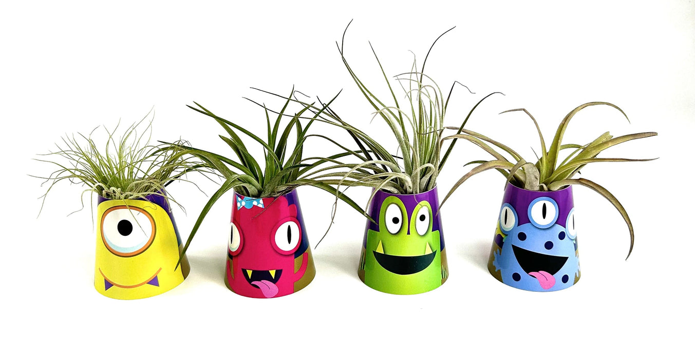 Air Plant Monsters