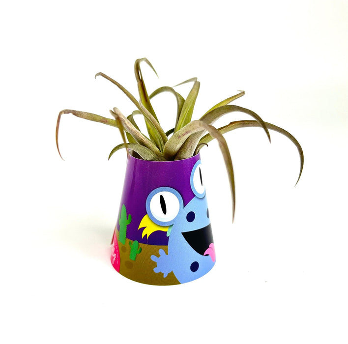 Air Plant Monsters