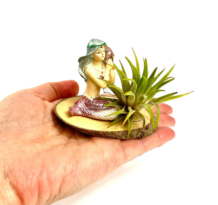 Children's Air Plant Mermaid