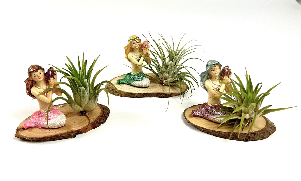 Children's Air Plant Mermaid