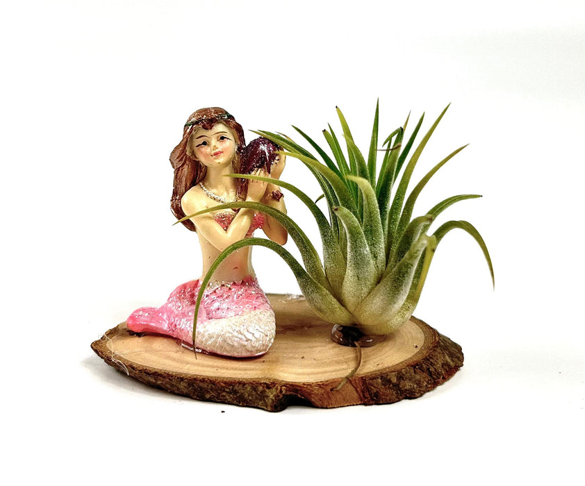 Children's Air Plant Mermaid