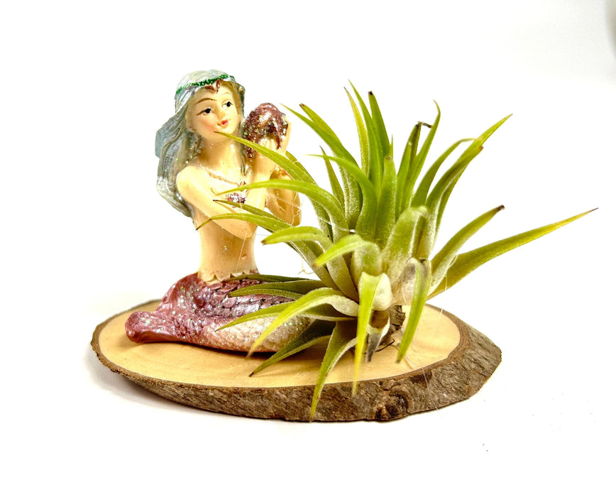 Children's Air Plant Mermaid