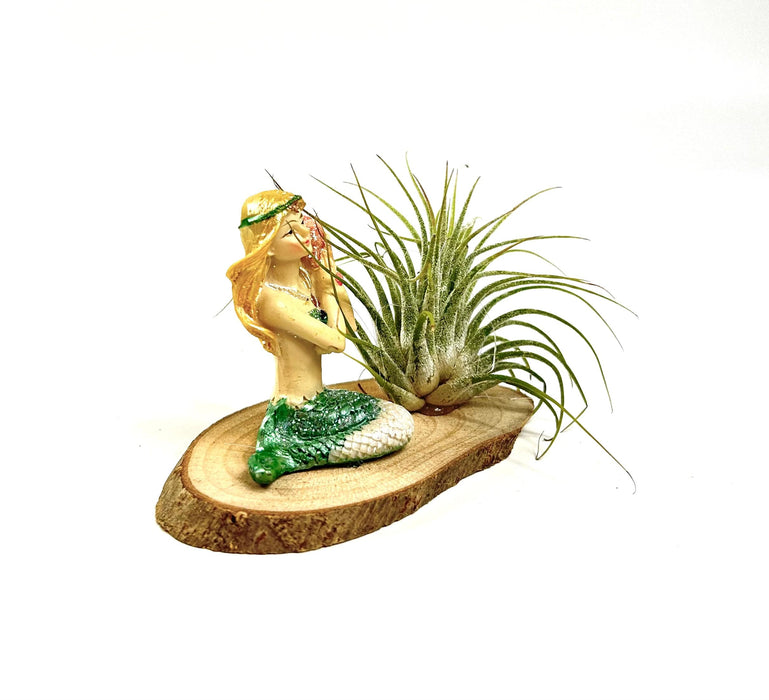 Children's Air Plant Mermaid