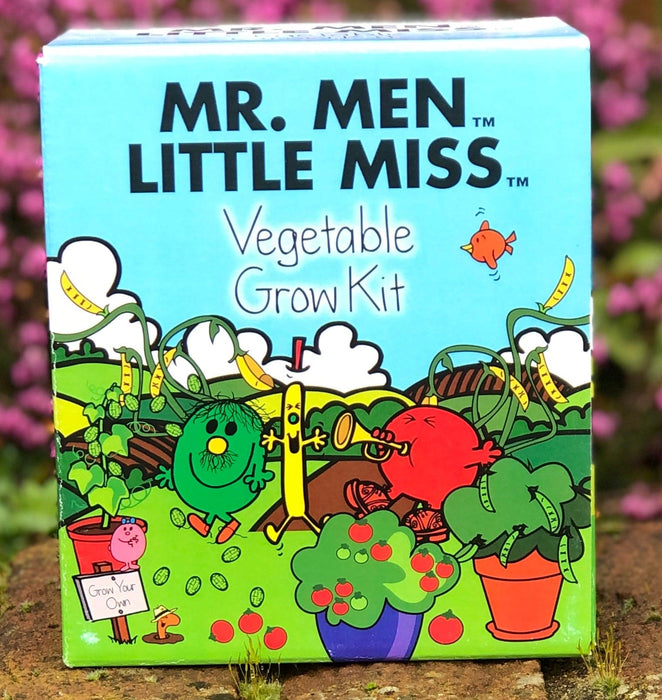 Mr Men Little Miss Vegetable Growing Kit