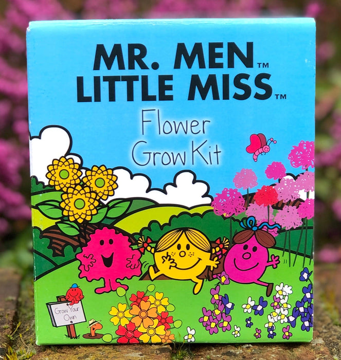 Mr Men Little Miss Flower Growing Kit