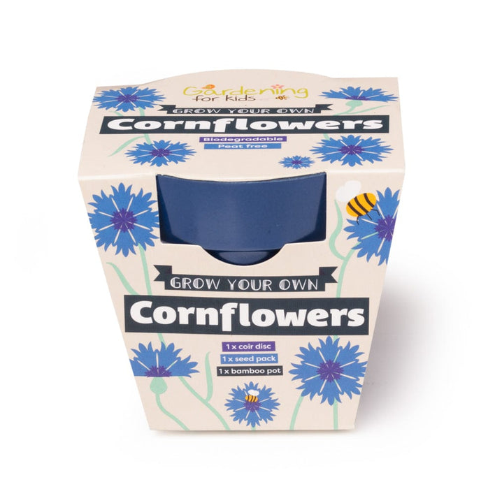 Cornflower Wildflower Growing Kit with Pot