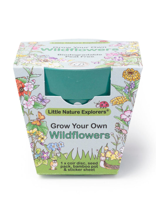 Little Nature Explorers Grow Your Own Wildflower Children's Growing Kit