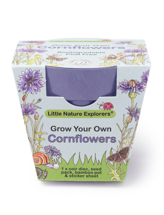 Little Nature Explorers Children's Grow Your Own Cornflowers Growing Kit