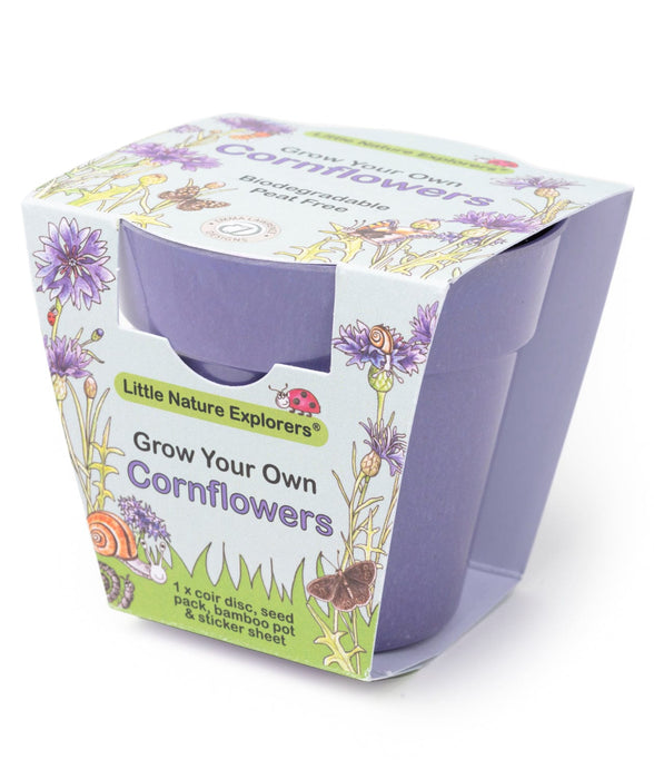 Little Nature Explorers Children's Grow Your Own Cornflowers Growing Kit