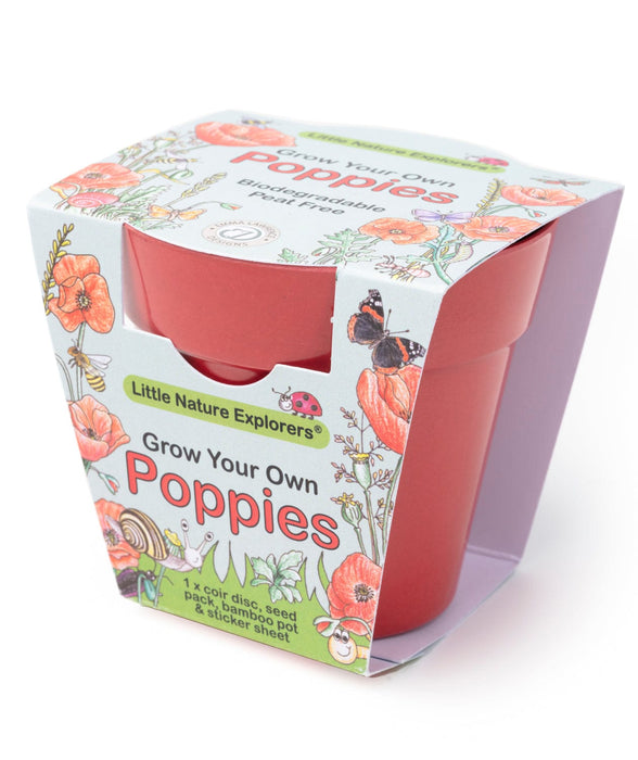 Little Nature Explorers Children's Grow Your Own Poppies Kit