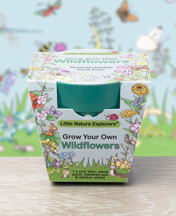 Little Nature Explorers Grow Your Own Wildflower Children's Growing Kit