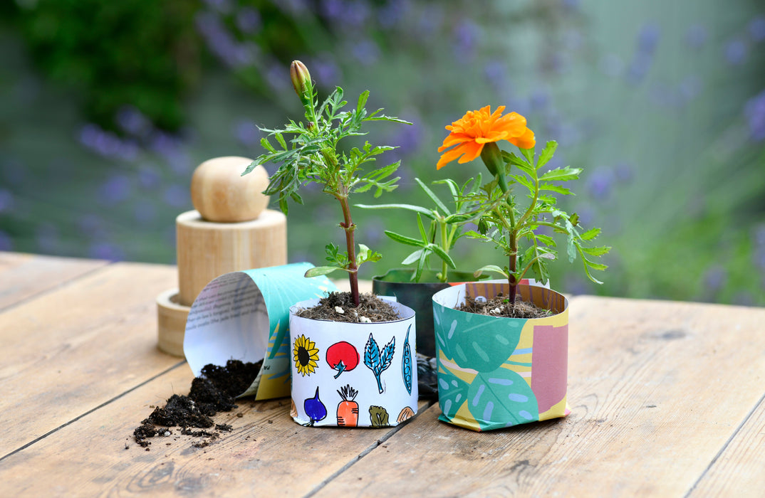 Make Your Own Seedling Paper Pots
