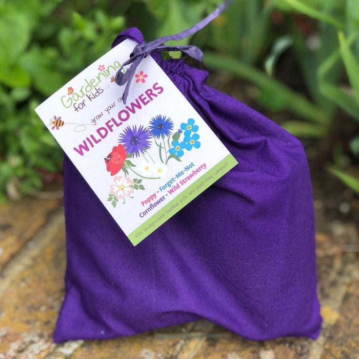 Wildflower Garden Growing Kit