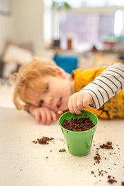 Gardening for Kids Basil Growing Kit with Pot